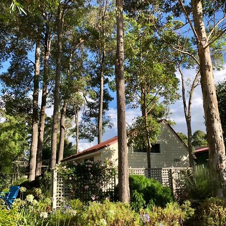 The Boulevard Garden Studio Apartment Margaret River Exterior foto